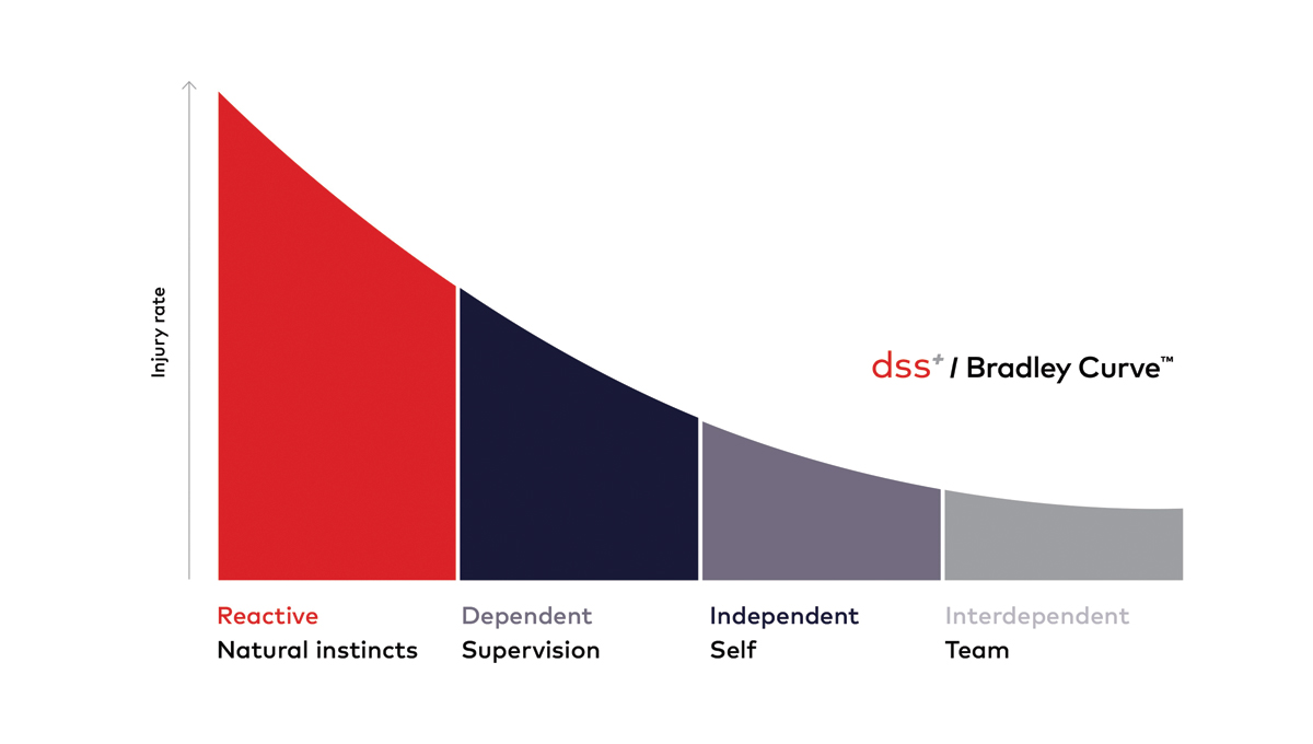 Curva de Bradley™ dss+