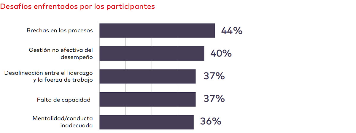 Desafíos enfrentados por los participantes