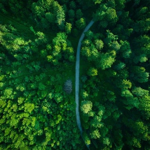 Una estrategia integral de sustentabilidad hacia la neutralidad de carbono