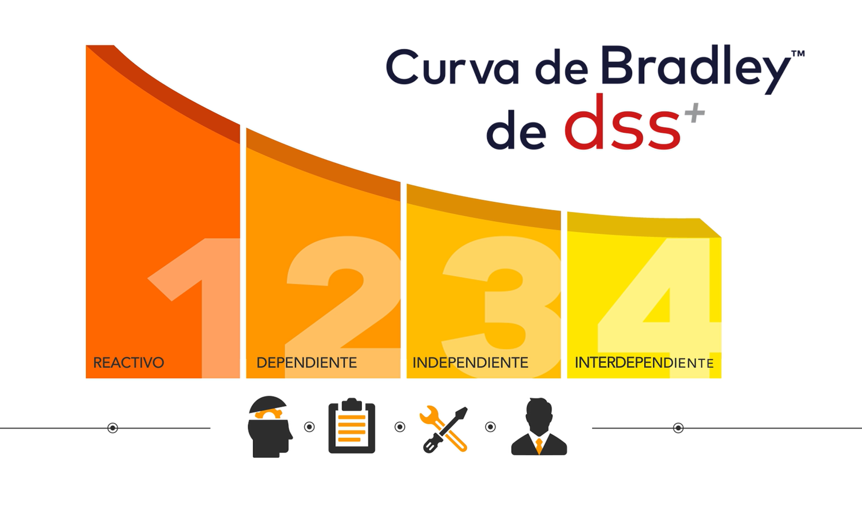 Video: Curva de Bradley™ dss+